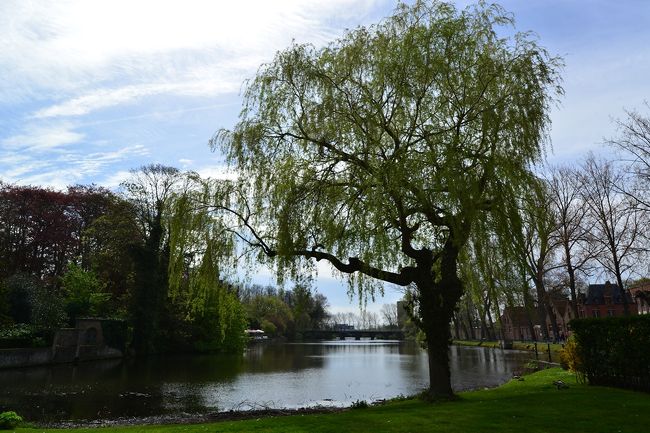 運河のそばの公園、愛の湖です。