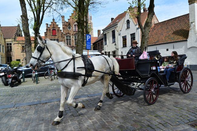 中世を馬車で観光する姿も味があります。