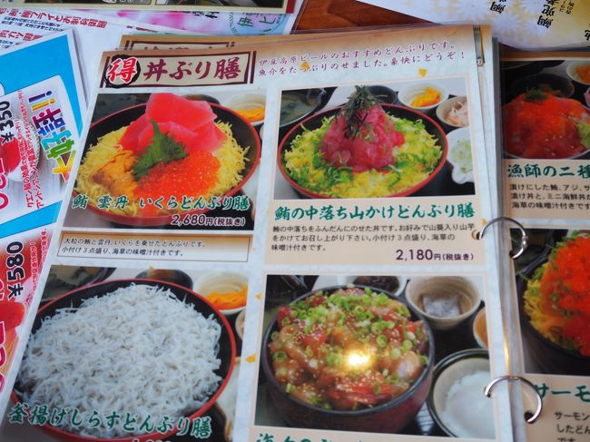 息子はしらすに目が行ってました。