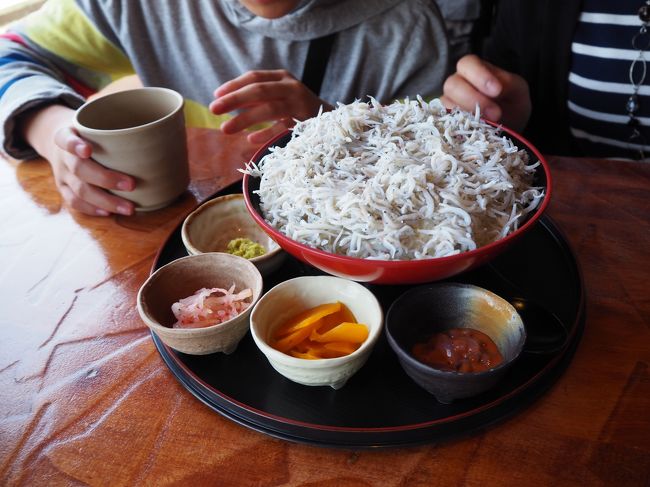 息子のシラス丼。凄い量です。