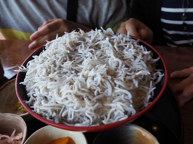 鎌倉の寂しかったシラス丼と大違い。