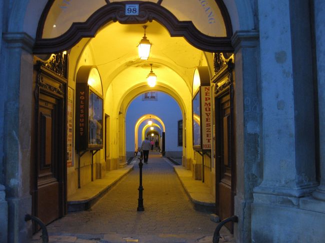 レンケの抜け道も明かりの輪がきれいです。<br /><br />夕食はホテルのレストランで。<br /><br />明日はブタペストに移動します。