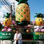 母のはじめての沖縄で傘寿祝いの旅