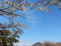 洞爺湖に到着！　ここにも桜が咲いていました。
桜と洞爺湖と羊蹄山です。