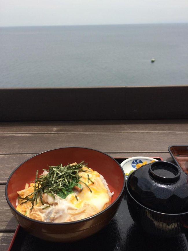 ワンコと一緒に 江ノ島 湘南ドライブ 神奈川県の旅行記 ブログ By ぽんさん フォートラベル