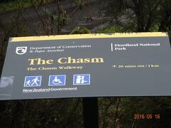 キャズム (The Chasm)。いろんな鳥が見れるようだが今日は雨。