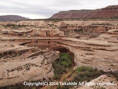 カチーナ・ブリッジ(Kachina Bridge)

シパプ・ブリッジ(Sipapu Bridge)より少し小型、長さ62.2mの天然橋です。