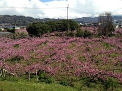 紀の川市桃山町