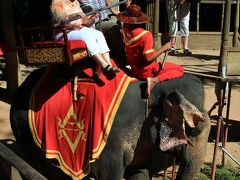 続いては、象に乗ってのバイヨン寺院観光です。
像乗りはプーケット以来。
上下動が大きいので写真撮りには不便ですが、高い位置から見えますので、
遺跡観光では面白いかもしれません。