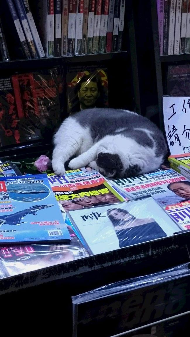 あねさんもお休み中。