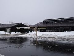 知床五湖の駐車場までは道に雪はなかったです。途中、何頭かエゾジカを見ました。
