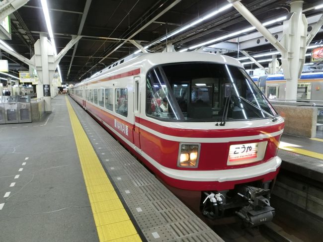 2016.5.01 【高野山】<br /><br />昨日購入した、高野山・世界遺産きっぷで高野山に向かいます。昨日も３つしかない窓口は混んでおりましたが、当日朝は指定券も売り切れていたので前日に購入しておいて正解でした。<br />この切符は片道だけ特急券がついているという面白い切符です。<br /><br />特急こうやで極楽橋へ。極楽橋で乗換ケーブルカーで高野山駅へ。そこからバスで高野山へと向かいます。<br />特急こうやは橋本駅をでると山岳路線に入ります。関東で言うと西武秩父線を想像してましたが、それよりはるかに山岳路線で、山道をゆっくりとカーブをキーキー言いながら走っていきます。<br />極楽橋では改札を出ずに、ケーブルカーに乗り継げます。<br /><br />南海なんば8:00--こうや1--極楽橋9:20/9:28--高野山9:33