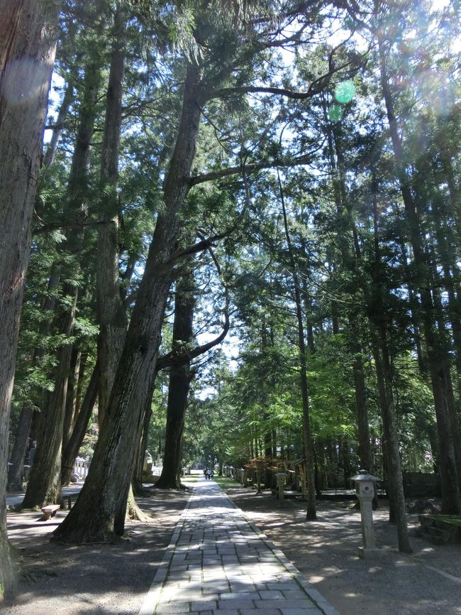 奥の院口のバス停を降り、参道に入ります。<br />気候も良く、散策日和です。