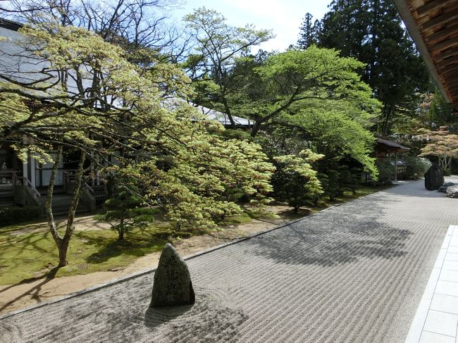 金剛峯寺の中には蟠龍庭という庭園もあります。<br />2340平方メートルあり、国内最大級に石庭だそうです。