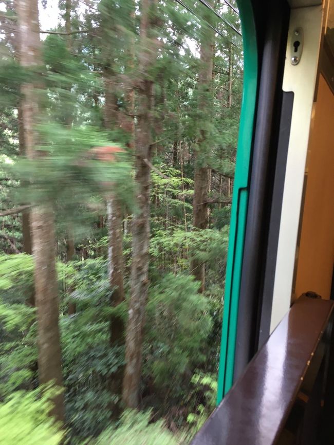 「天空」が山間部を駆け抜けていきます。