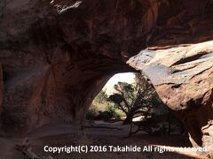 ナバホ・アーチ(Navajo Arch)

他とは少し毛色が異なり、土の上に口を開けている天然橋です。