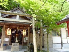 八番社「薬師神社」
説明を読むと、日本の医療神と仏教の薬師瑠璃光栄に起因して
祭神を薬師菩薩とお呼びする、とあり、薬、医療を司る神様のようです。