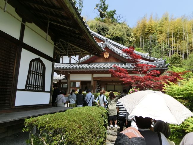 鈴虫寺は、説法を聞いてから庭園を見る形になります。この説法が30分程かかるため、この入口付近から次の説法まで40分近く待ちとなります。<br />10:40分ごろの到着し、11:20分前に入れました。<br /><br />繁忙期は相当待つようですので、１回待ちで入れてよしとするしかありません。<br /><br />中に入るとかなり広い部屋で説法を聞きますが、この部屋で鈴虫が飼われています。部屋に入ると鈴虫がないています。<br />しっかりした温度管理のなか育てているそうです。<br /><br />説法もとても面白いプロの説法で、長時間待って聞いた甲斐がありました。