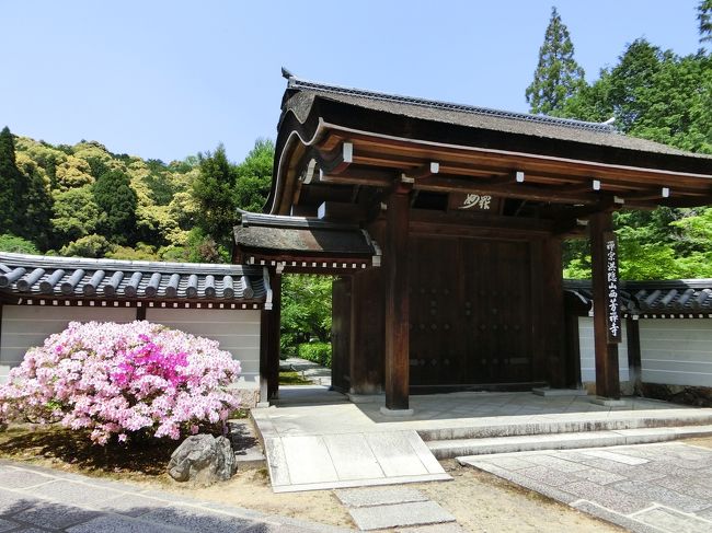 【苔寺・西芳寺】<br />「元祖 苔乃茶屋」から2-3分で苔寺に到着です。<br />13:00の回に参加する方々がぞろぞろと訪れています。<br />入口で申し込みはがきを見せ入場をします。