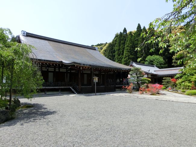 苔寺の本堂です。こちらで写経をやります。<br />15分程前に到着しましたが、すでに写経をするところはかなり混んでいました。<br /><br />お経を唱えた後、写経が始まります。<br />はがきには筆持参と書いてあり持っていきましたが、筆は硯と一緒に置いてありました。<br />約1時間の写経タイムに入りますが、結構長いのでそれなりの時間がかかります。<br />外人さんも、みなさんうまく書いていました。