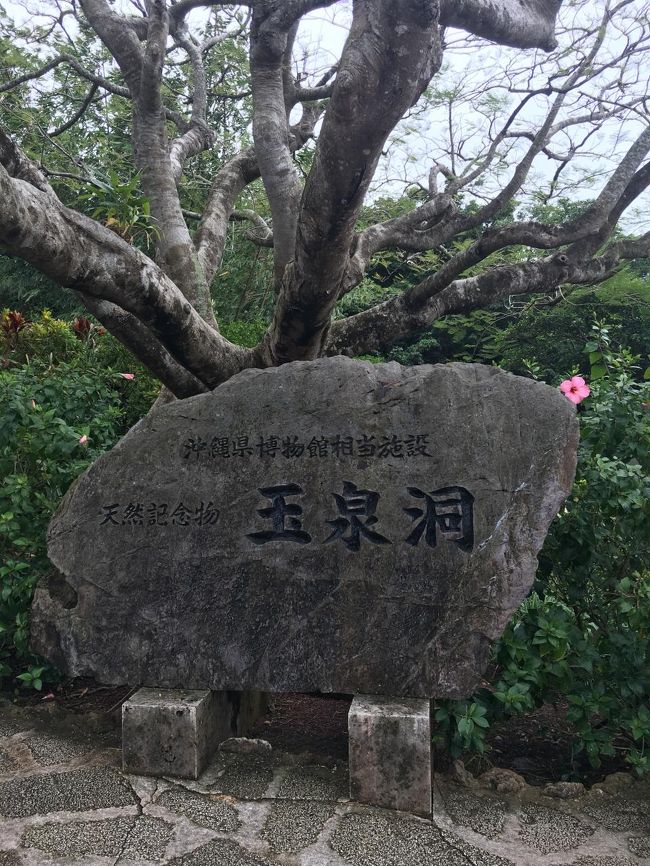 玉泉洞　11時着。雨。