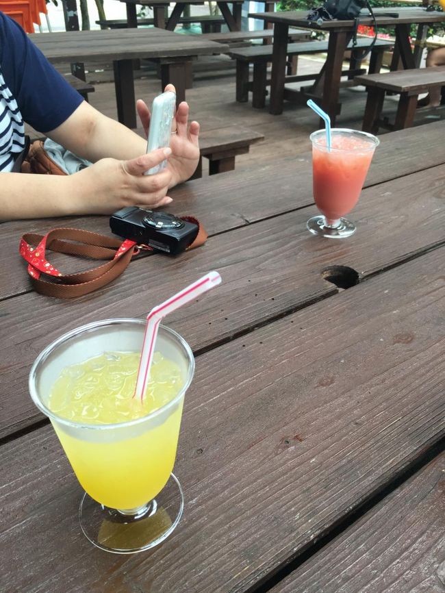 11：50<br />出てきて休憩。<br /><br />シークワーサージュースでリフレッシュ♪