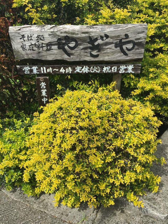 移動して、ランチへ。<br /><br />沖縄そば　やぎや。営業時間が短いのです。