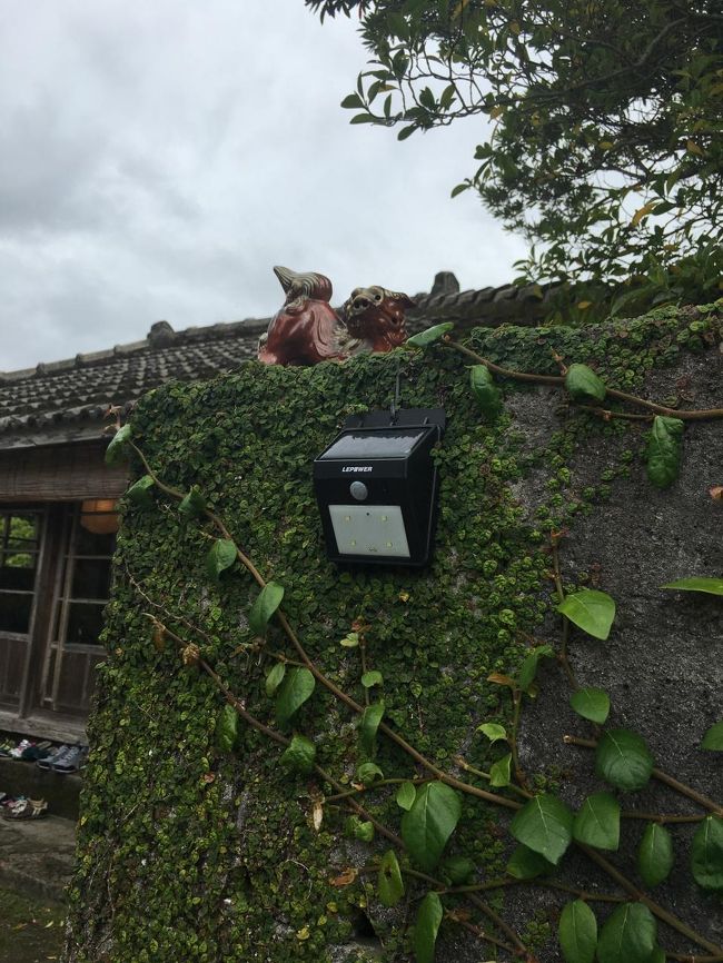 シーサー。だれかのお家に伺うかんじ。