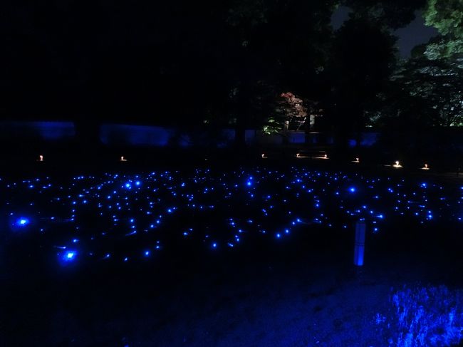 青蓮院門跡のライトアップは写真以上に見た目の色は暗く、写真撮影には苦労します。