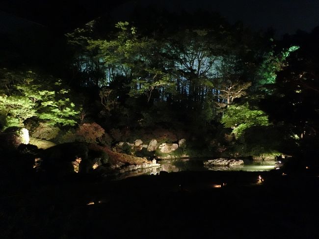 殿舎内も広く、別の部屋に移動すると、龍心池という池もライトアップしていました。<br /><br />背後で青白く光る竹も含め神秘的な感じです。