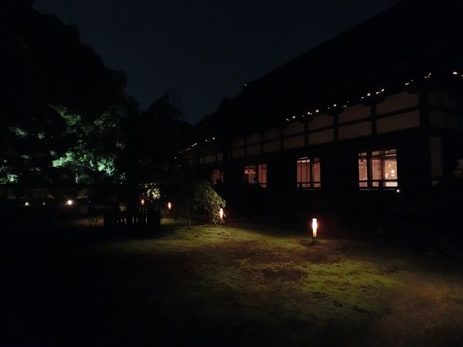 再び最初にみていたカラフルなライトアップ名庭園に戻ってきました。<br />緑バージョンです。