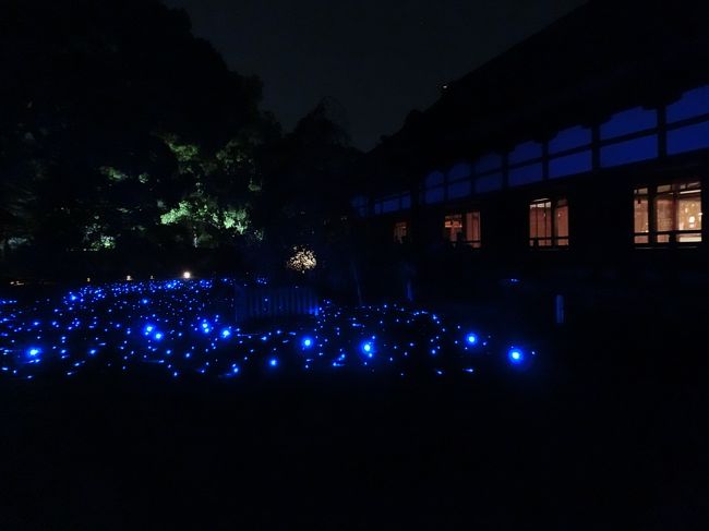 続いて再び青バージョン。