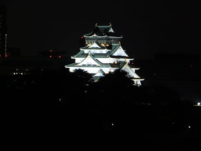 大阪城をアップにして写真をとってみます。