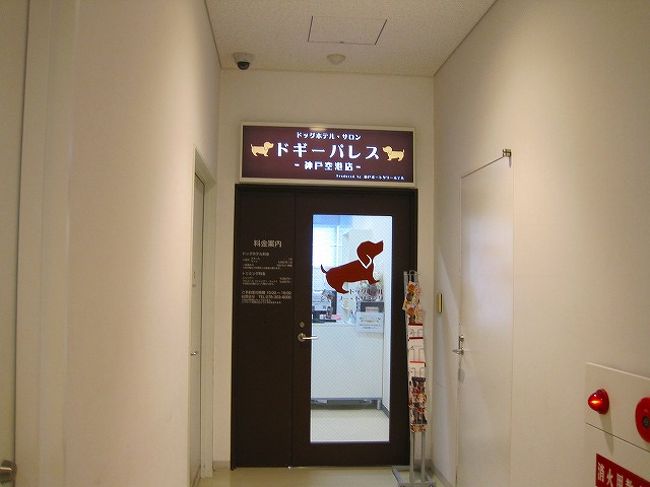 神戸空港スカイマーク搭乗記 神戸 兵庫県 の旅行記 ブログ By ぴこらさん フォートラベル