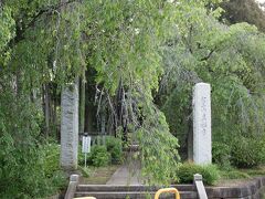 16：40　狭山観音霊場　第２０番　真福寺　龍華山清浄院真福寺　19番から1.9km
青梅街道から表参道を進むと正面に小学校があり、その隣が真福寺で、入り口は大きな枝垂桜が覆いかぶさっています。
参道の正面が小学校なので、学校が敷地を譲り受けたのだろうと思ったら、その通りでした。
