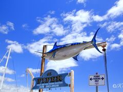 食事の後、少し時間があったので、港を散策してみた。
青い空に浮かぶのはサメ！？？