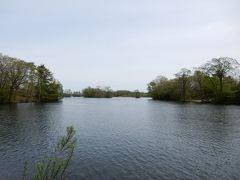 五稜郭からホテルに戻り、チェックアウト。

函館新道を大沼公園に向かいました。

うす曇りで空が青くないのが残念ですが、新緑が美しく癒されました。