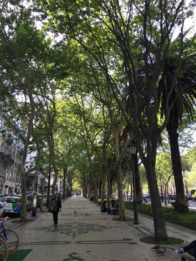 石畳みの綺麗な道。