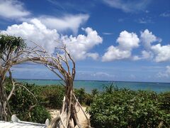 お昼のランチはおしゃれなカフェ。

島野菜カフェ　リハロウビーチ