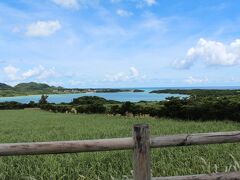 途中で川平湾を遠くから見学（笑）
普通はグラスボートとか乗りに行くんでしょうが、家族があまり乗り気でなかったので。残念。