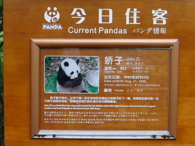 成都パンダ基地 目的は パンダ釣り 見物 16 05 成都 中国 の旅行記 ブログ By スイカさん フォートラベル