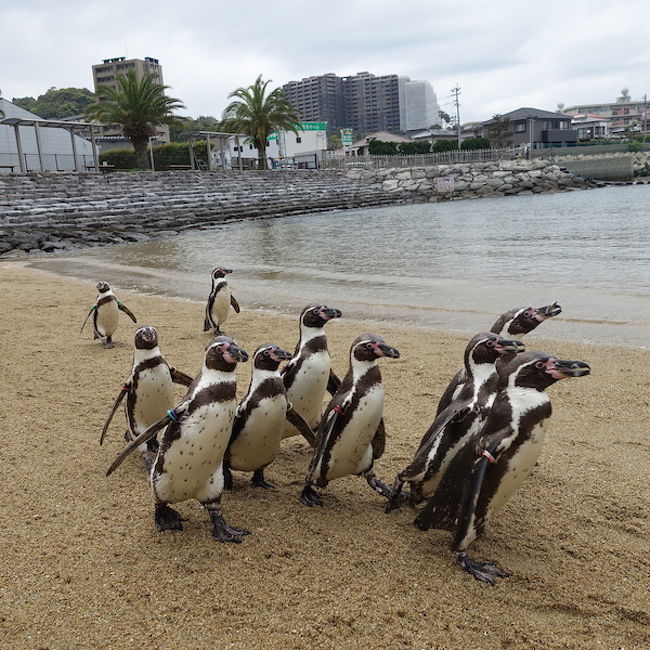 10数年ぶりの 長崎へ 長崎市 長崎県 の旅行記 ブログ By Yuriさん フォートラベル