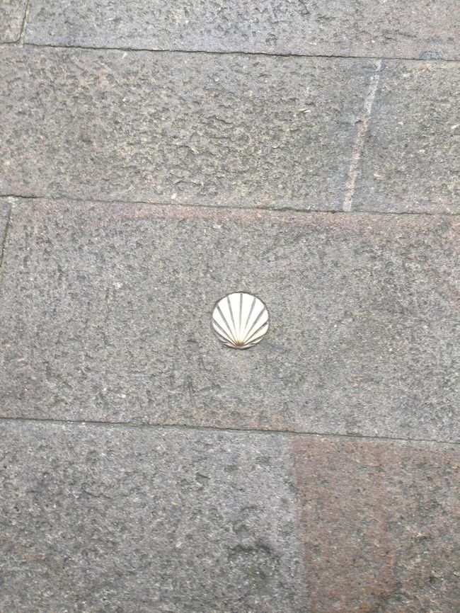 あ、貝殻！道に貝殻が埋まってます。<br /><br />巡礼路を歩く人達は貝殻を目印にこのサンティアゴ大聖堂まで歩いてくるんだと本で読みました。<br /><br />こんな感じの貝殻なのかな。