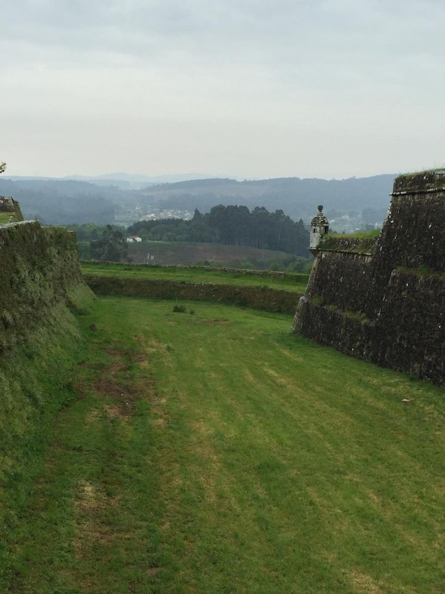 なんてのどかなんだろう。