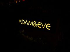 今夜のディナーは中華にしました。
アダム&イブです。