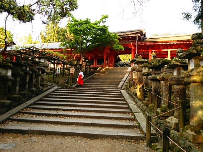 JR奈良駅からバスで春日大社〜再び奈良公園で“鹿の夕暮れ静止”を検証<br />―今日も確認できず。<br />夕食は何か名物を―と思ったが某チェーン店で。だってここ好きなんだもん。<br />名物は駅で買った奈良寿司を夜食に。<br />