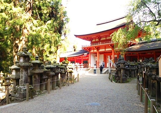 3日目。　昨夕は外側しか観てない“春日大社”第六十次の式年造替なんだね。<br />