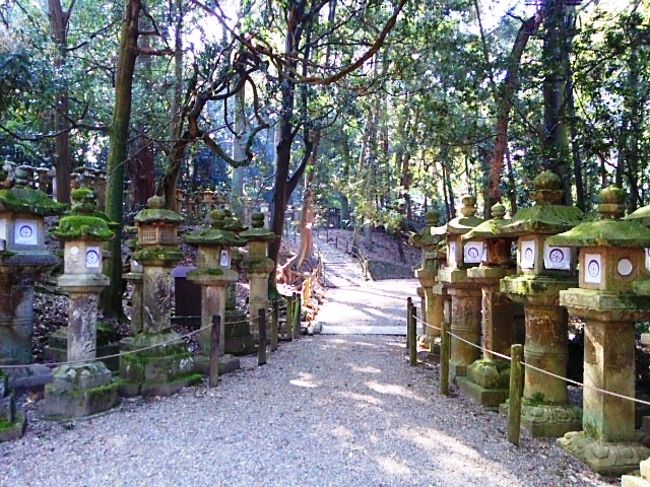 春日の山側の道、気が満ちているのか空気が澄みまくっている。<br />