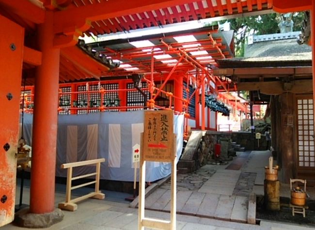 中は写真ダメだけど、国宝御本殿の二十年に一度の公開がされていた。<br />大小さまざまな祠があってそれぞれの違いが面白い。