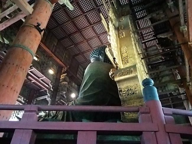 外に出た後、男子小学生に二月堂方面への道を聞かれ、自信満々にあっちだよと教え<br />自分は正倉院へ向かったら…二月堂が見えてきた。<br />あれっ、あの子に反対方向を教えちゃった?!<br />今来た道を戻ったら、さっきの小学生も戻って来てバッタリ会う。気まずい…<br />その子に「さっきはありがとうございました」と言われた。<br />ごめん、わざとじゃないんだよ…　　↑斜め後ろからの大仏様 